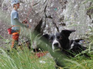 Stage Trad Escalade Gorge du Chassezac